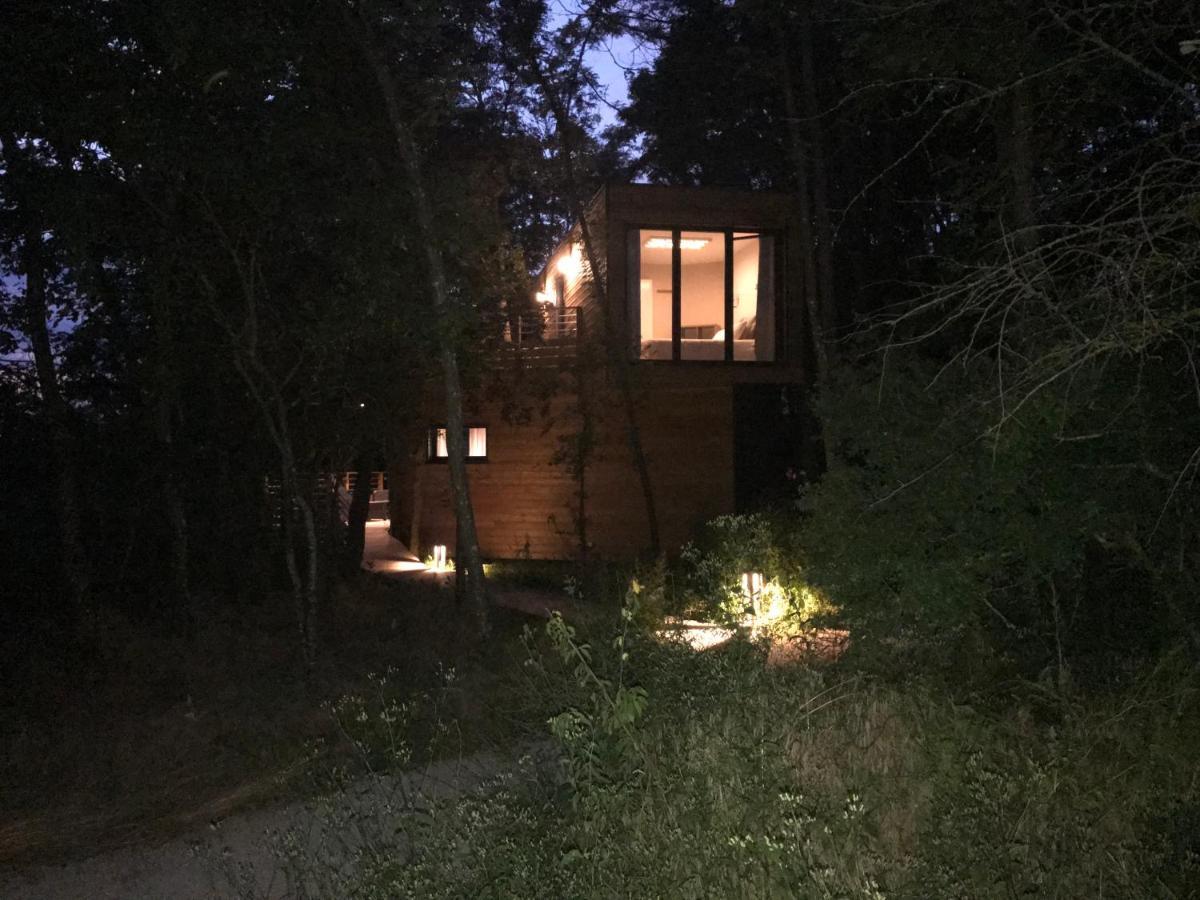 Les Cocons De L'Illon Bed & Breakfast Ville-sur-Illon Eksteriør bilde