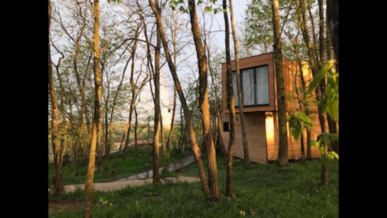Les Cocons De L'Illon Bed & Breakfast Ville-sur-Illon Eksteriør bilde